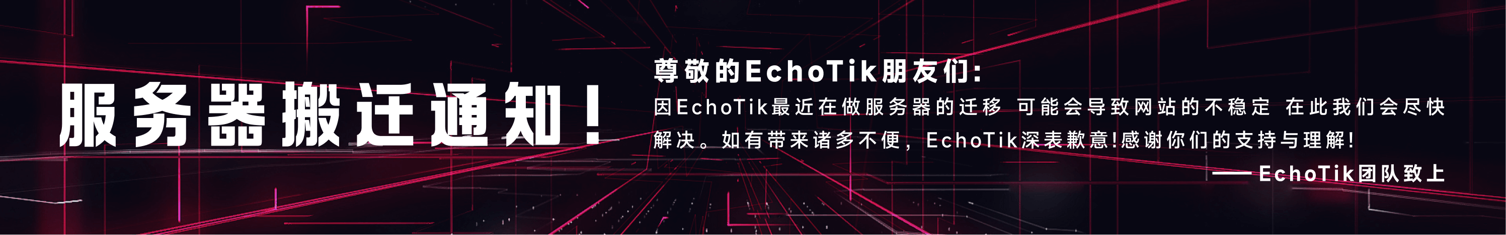 EchoTik live